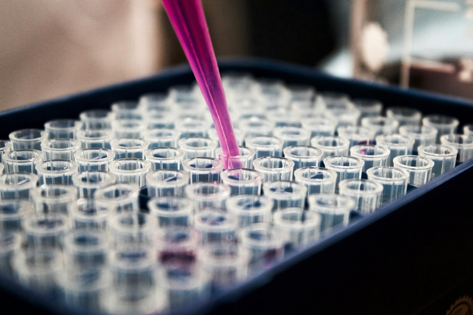 Laboratori d'estudi osteològic